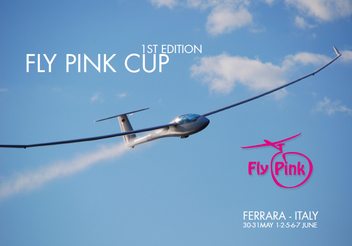 FLY PINK CUP